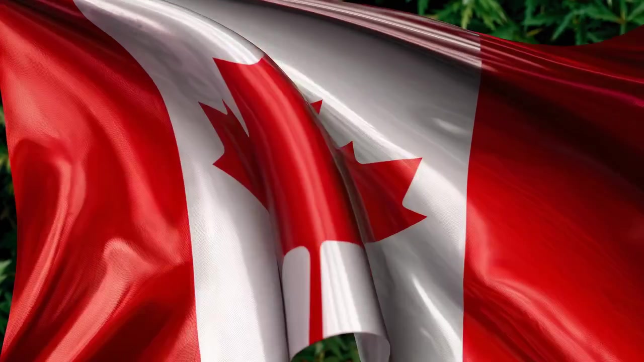 Canadas nationalflag vajer blidt udendørs