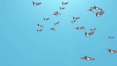 flock of birds in flight