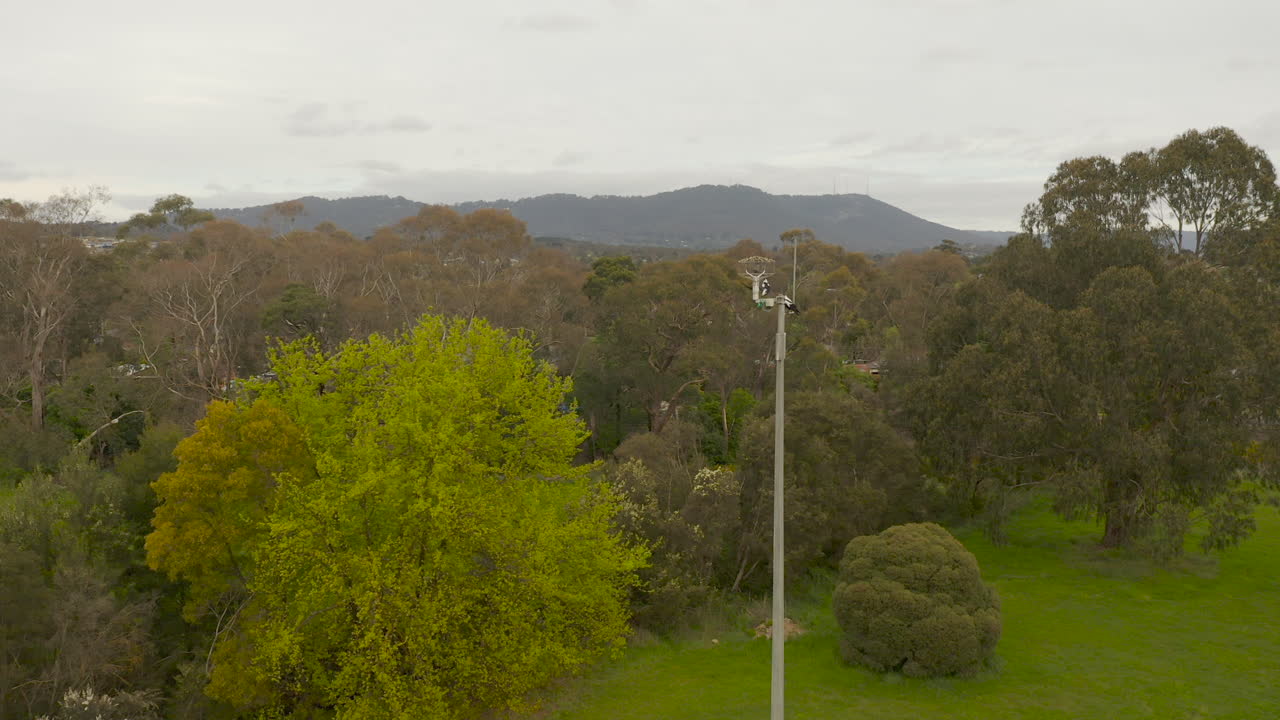una panorámica suave revela un instrumento de monitoreo del aire de pie alto, seguido de un suave movimiento de la cámara, capturando el paisaje verde y exuberante circundante