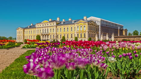 time-lapse of colorful tulips in a beautiful garden in front of a castle