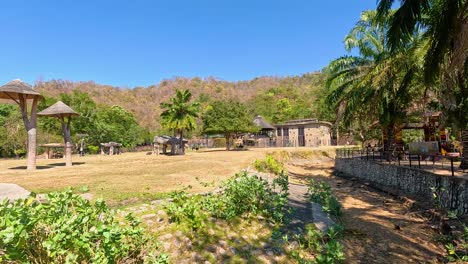 a serene giraffe enclosure in chonburi, thailand, under bright sunlight. the environment features lush greenery and open spaces
