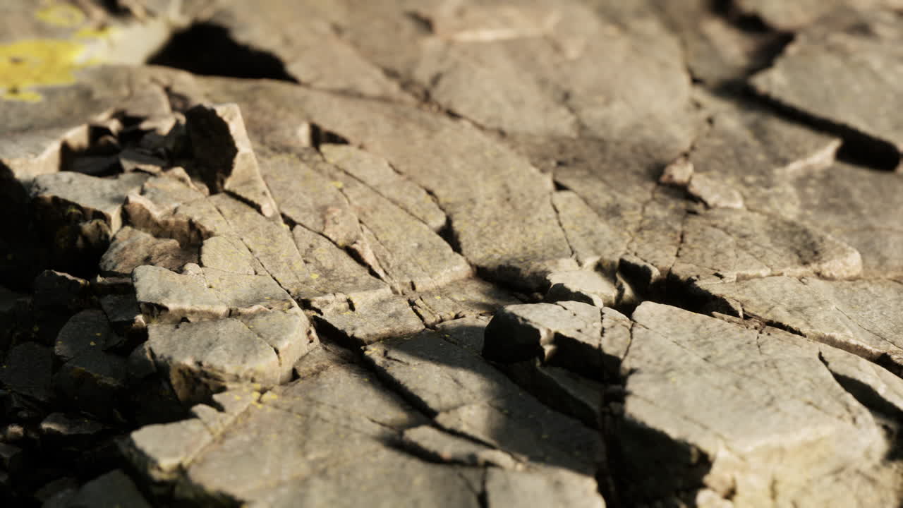 바위 돌 형성이 가까이 있습니다.