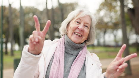 Frieden,-Hand-Und-Gesicht-Einer-älteren-Frau-Im-Park-Glücklich