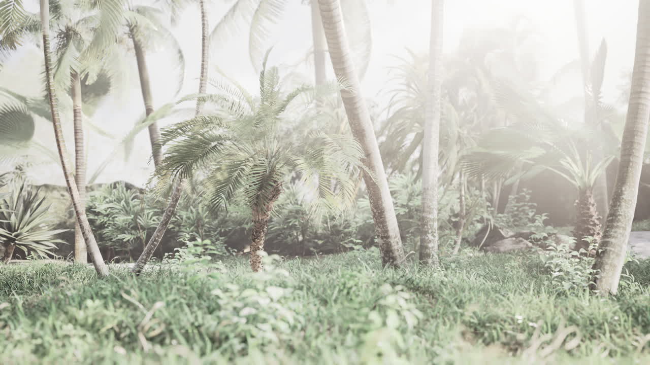 fondo de hojas de palma naturales rama de árbol