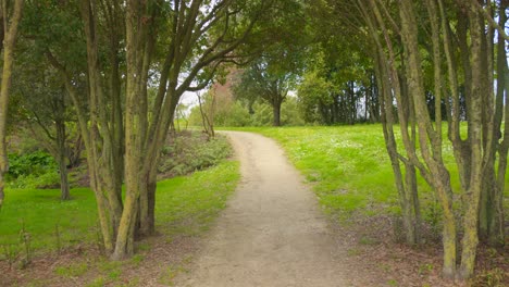 random walking  path in la rochelle, france