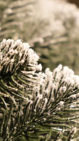 christmas tree adorned with snow evoking the holiday spirit this enchanting video shows a beautifully adorned christmas tree dusted with soft white snow highlighting its intricate details and shimmering ornaments