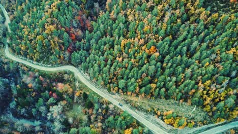 amazing drone view of roadway in mountains covered with lush autumn foliage