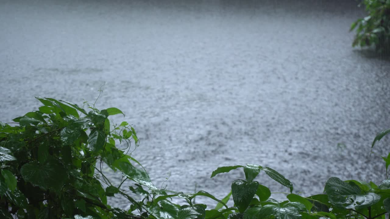 In the rainy season, eastern India receives heavy rainfall during the rainy season