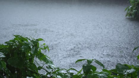 En-La-Temporada-De-Lluvias,-El-Este-De-La-India-Recibe-Fuertes-Lluvias-Durante-La-Temporada-De-Lluvias