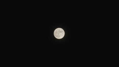 noche de luna llena
