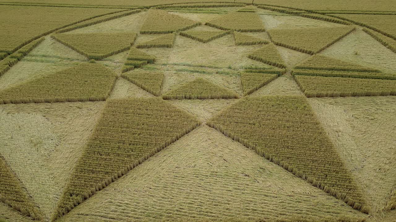 미 ⁇ 데버 작물 원 2023 낮은 공중 뷰 햄프셔를 순환 이상한 기하학 밀  ⁇  농장 예술 작품