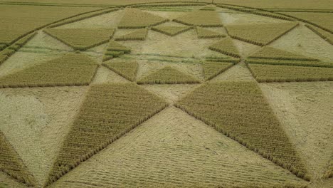 micheldever crop circle 2023 low aerial view circling hampshire strange geometric wheat field farmland artwork