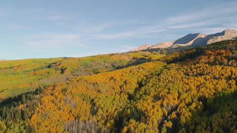 aspens turning on kebler pass, colorado