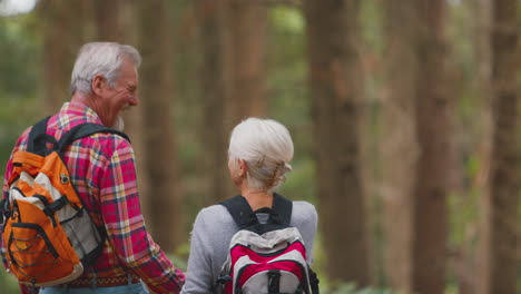 rear view of loving retired senior couple holding hands walking in woodland countryside together