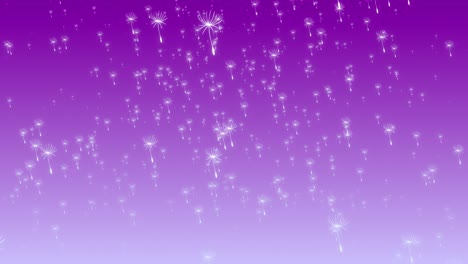 Dandelion-flower-blooms-floating-falling-from-sky-with-soft-gradient-pastel-background-visual-effects-motion-graphics-3D-dynamic-abstract-purple-pink-light