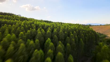 4k hdr drone shot flying fast and low over forest trees in thailand