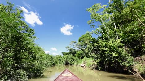 boat in the amazon moving slowly