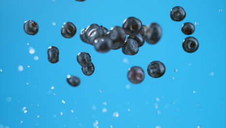 A-bunch-of-blueberries-and-water-launched-flying-in-air