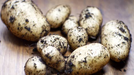 homegrown organic potatoes shallow focus covered in soil on wooden kitchen surface top down right dolly