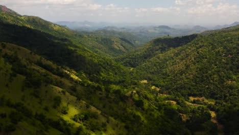 mountains and forests in sri lanka.