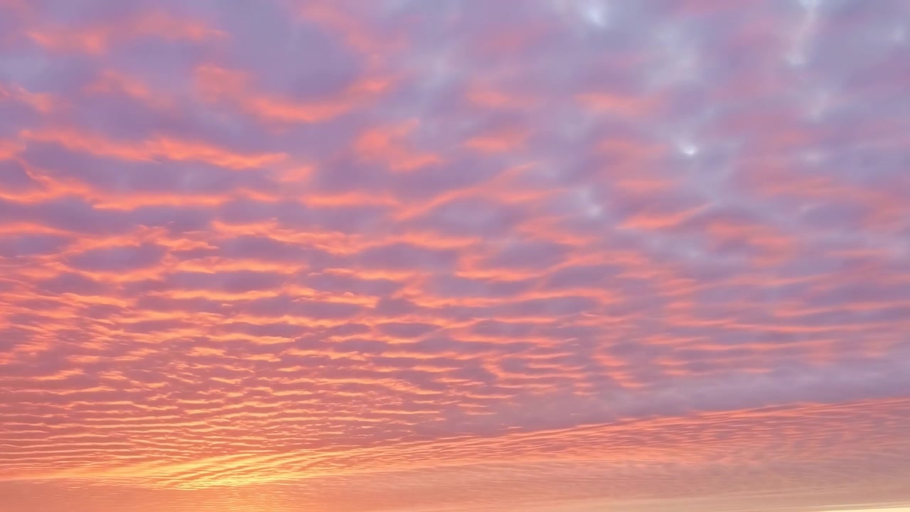 Un vasto paesaggio nuvoloso mostra strati di altocumuli e stratocumuli increspati con una texture cellulare smerlata, una luce sfumata pastello tenue, un delicato bagliore caldo vicino all'orizzonte, uno sfondo naturale sereno.