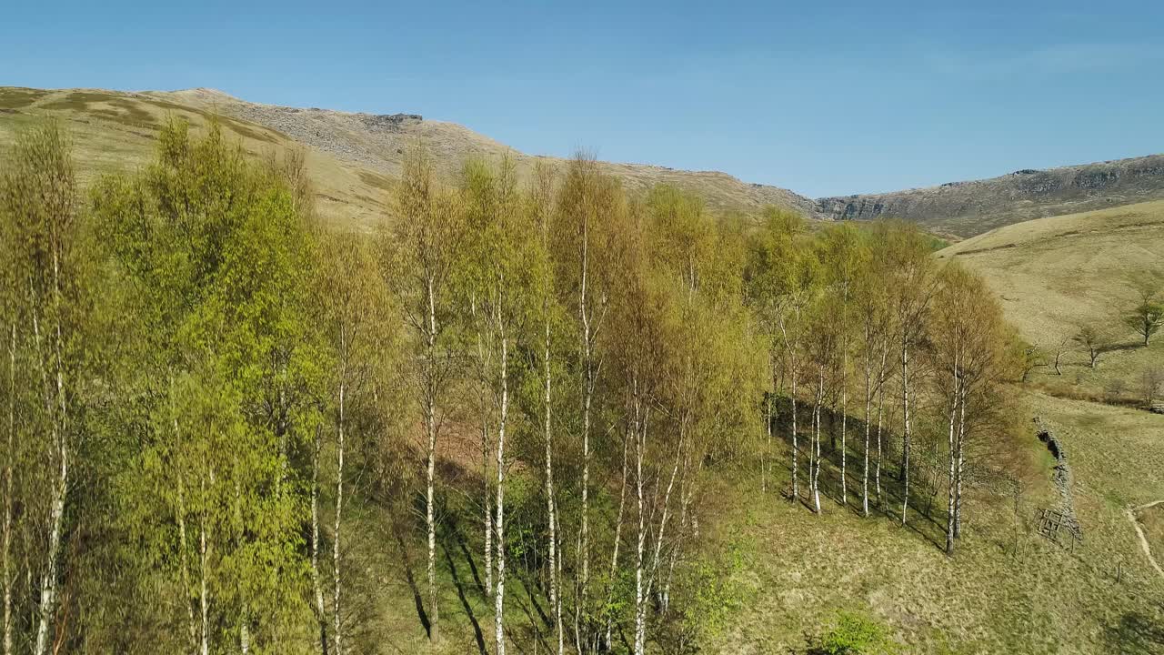 toma aérea ascendente desde detrás de los árboles para revelar el pico kinder scout y la cascada en la distancia, peak district, reino unido