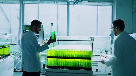 two scientists working in a laboratory on a green energy project