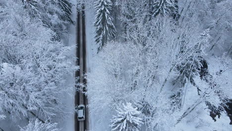 drone captured of a country asphalt road with car traveling during snowy winter near deby village, poland