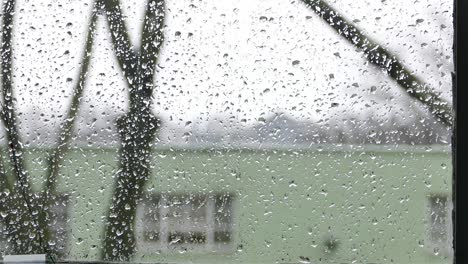 raindrops on window glass