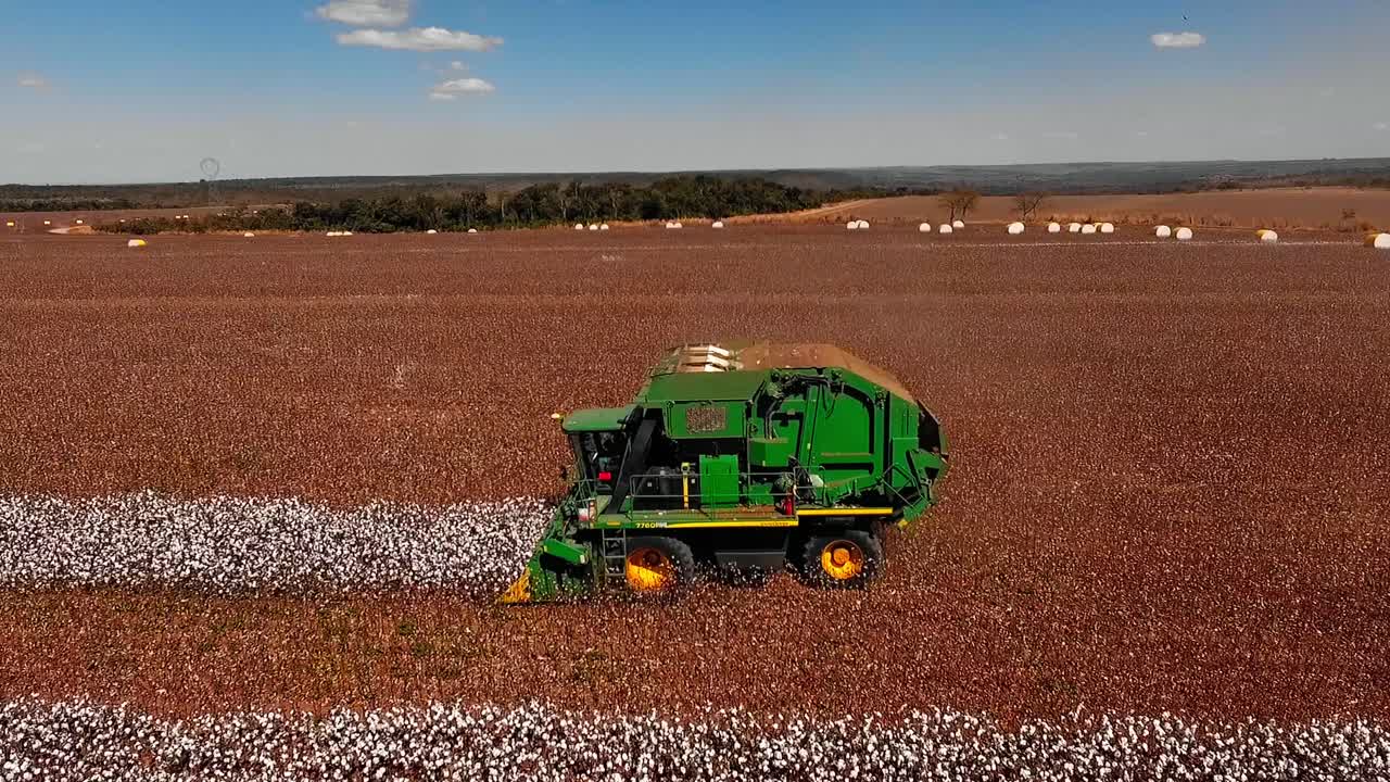 vista aérea de la granja de cosecha de tractores de plantas de algodón blanco en un campo
