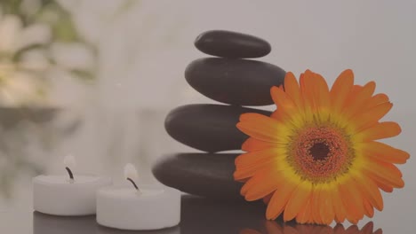 Animation-of-candles,-flower-and-massage-stones