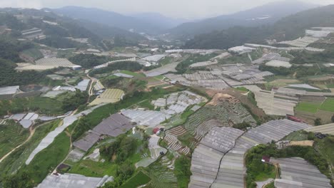 general landscape view of the brinchang district within the cameron highlands area of malaysia