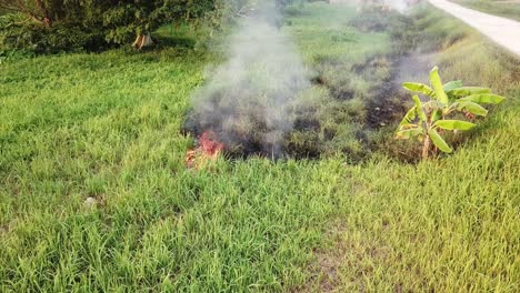 llamas y humo debido al fuego abierto por un granjero local.