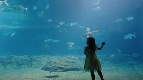 little girl in aquarium looking at fish swimming in tank happy child watching beautiful marine animals in oceanarium having fun learning about sea life in aquatic habitat