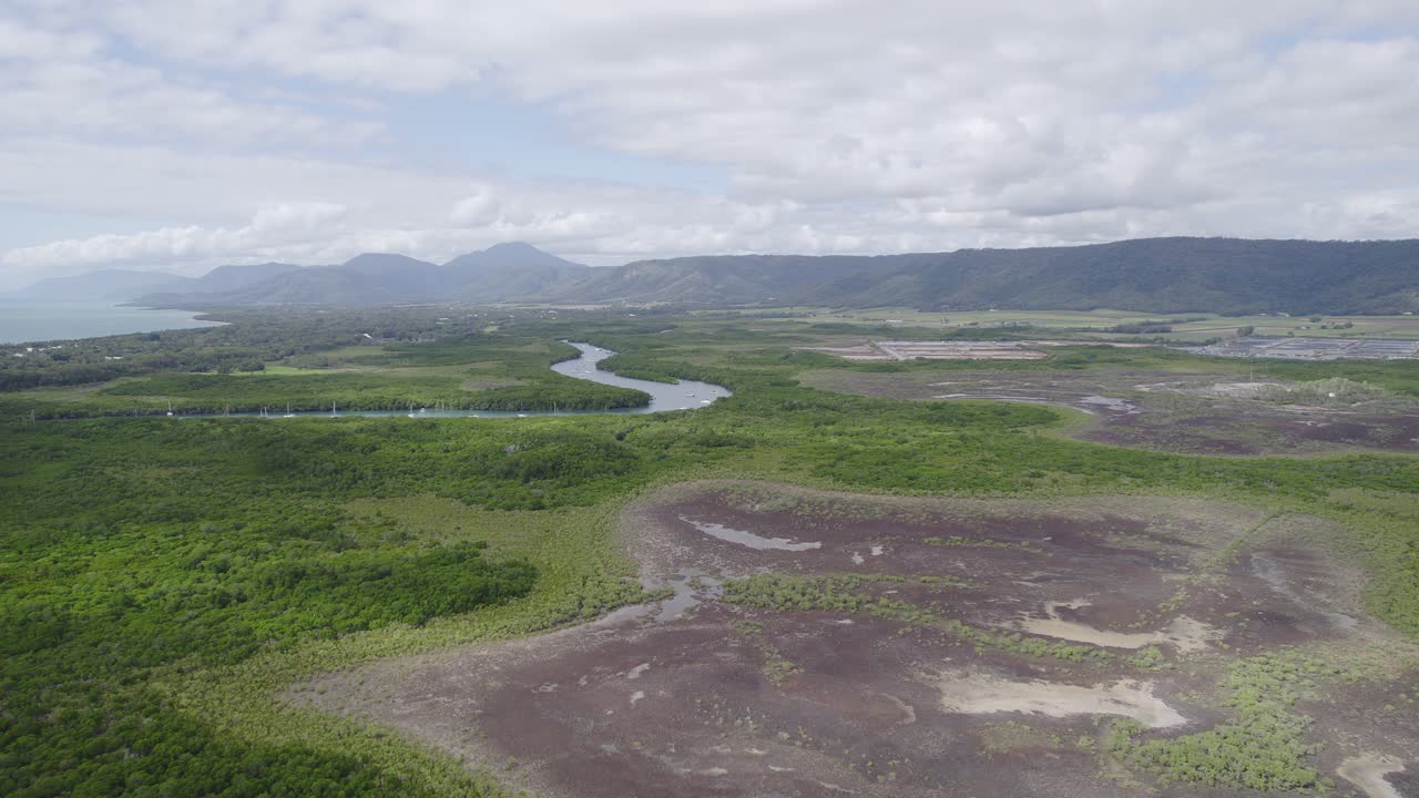 arroyo y exuberante follaje verde en la costa de port douglas cerca de cairns en queensland