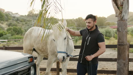 un hombre y un caballo