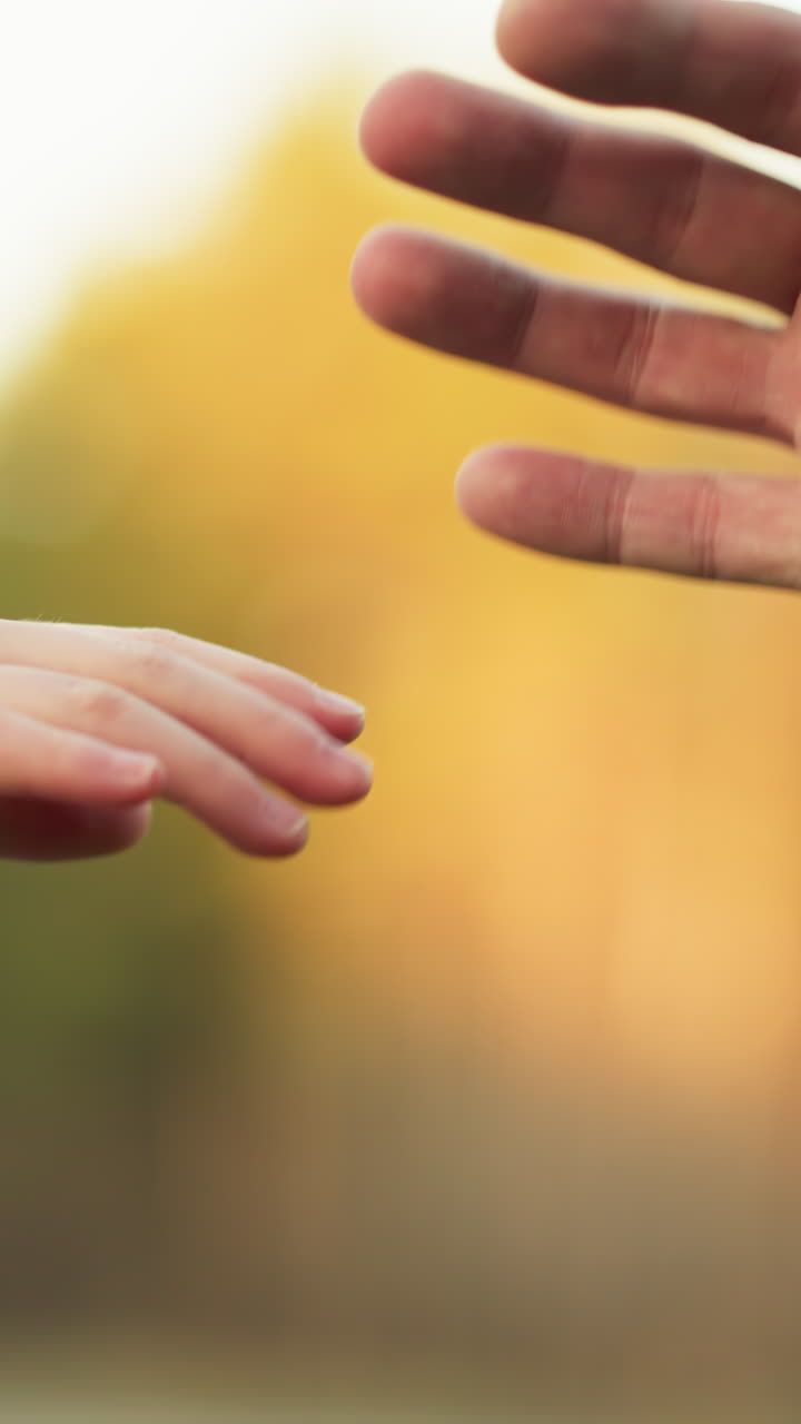 un primer plano de un momento tierno cuando la mano de un niño pequeño toca suavemente la mano de una persona adulta, con la cálida luz del sol y un fondo natural borroso que evoca sentimientos de cuidado, conexión y afecto