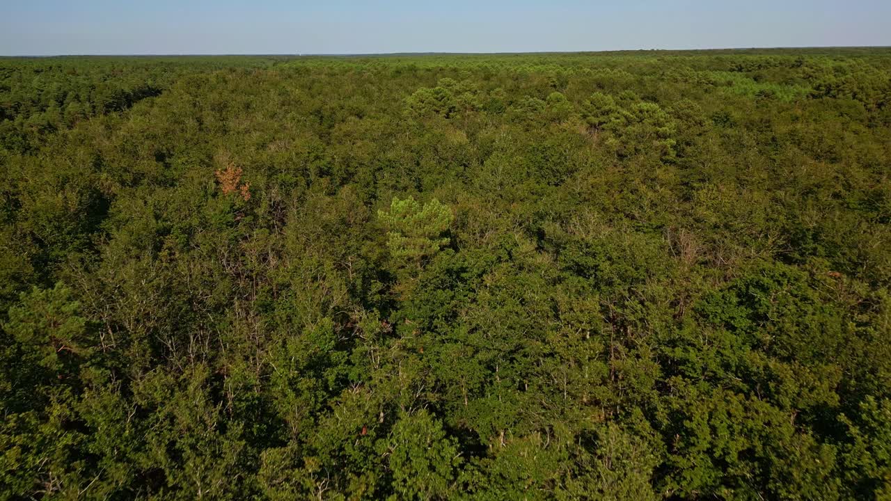 Forward drone fly over a lush green forest canopies stretching endlessly, Chinon, Indre-et-Loire, France