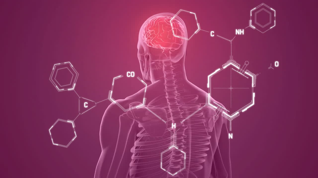 빛나는 뇌를 가진 인간의 몸 위에서 과학적 데이터 처리의 애니메이션