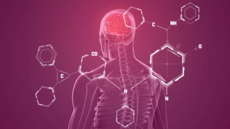 animación de procesamiento de datos científicos sobre el cuerpo humano con cerebro brillante