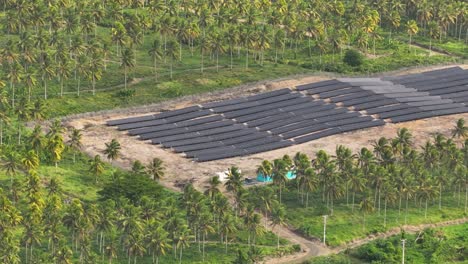 aerial view of solar panel farm in tropical coconut plantation
