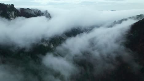 Niebla-Aérea-De-Drones-En-El-Valle,-Bosque-Brumoso-Después-De-La-Lluvia