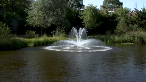 view of public fountain in pond surrounded by