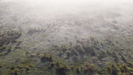 drone camera slowly glides above a foggy, grassy meadow in soft morning light, revealing textured terrain and low-lying mist in a tranquil mountain landscape