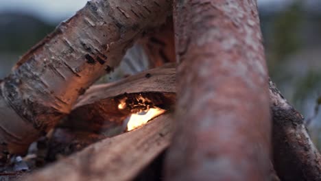 slow motion close-up of a small campfire, fire burning under the logs in the outdoors