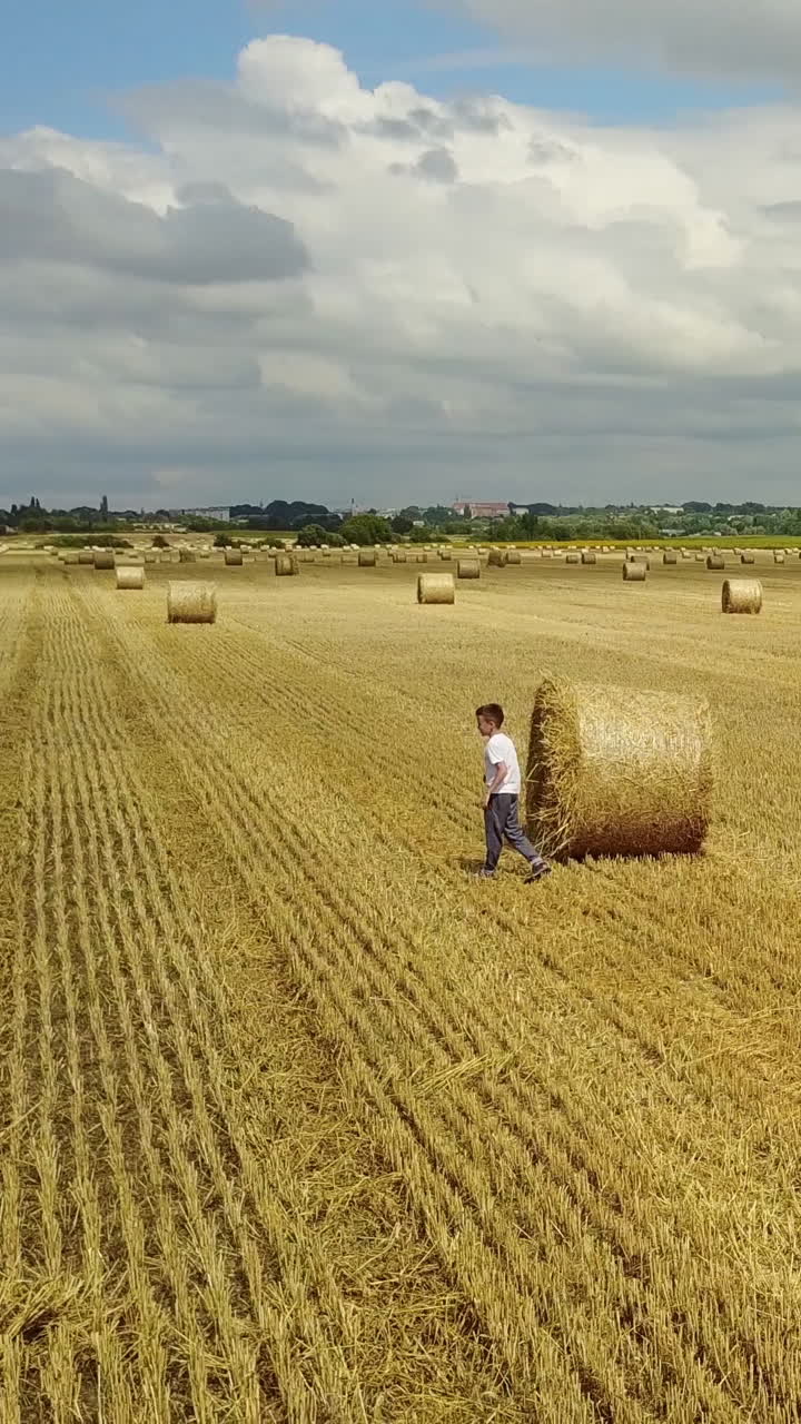 Anak Bahagia di Ladang. Anak laki-laki menggemaskan menghabiskan waktu di ladang dengan jerami