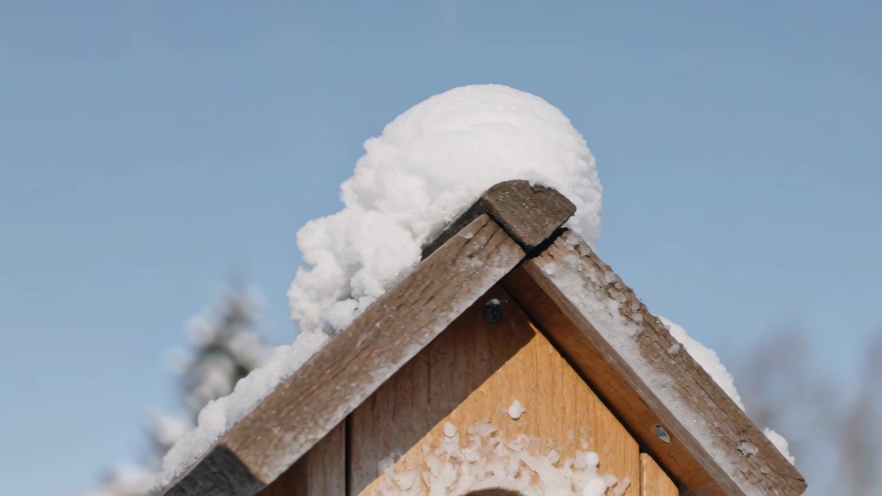 En avrundet snøhaug glir nedover taket på et fuglehus i tre, solen varmer taket i hagen, med en skrue.