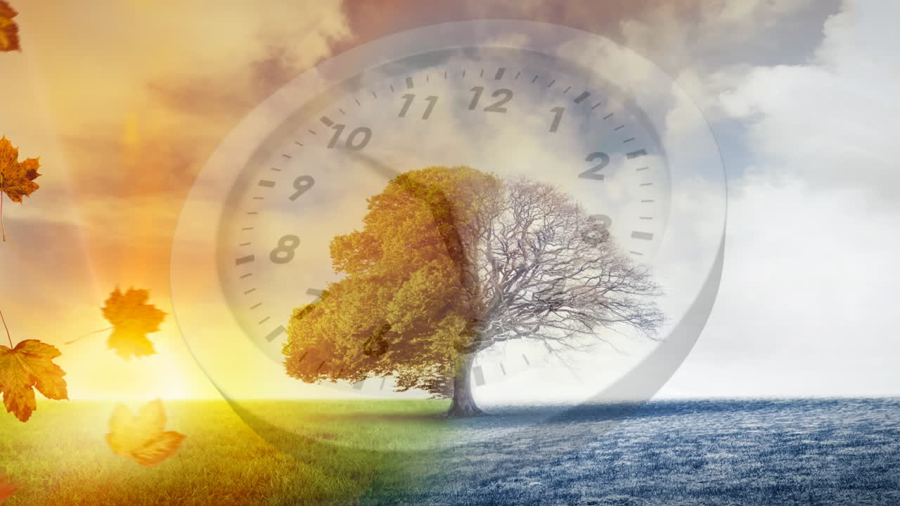 겨울과 가을 시즌