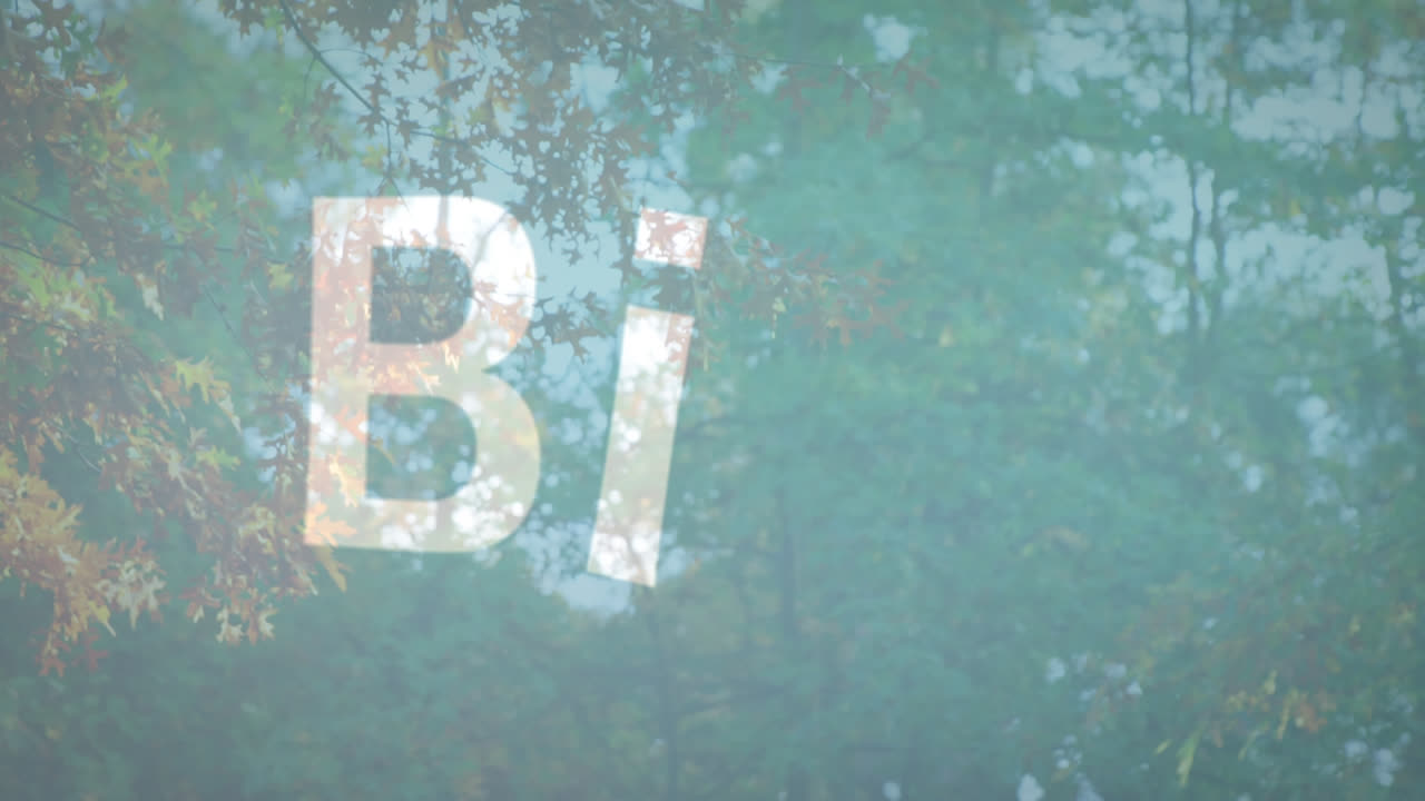 Animation of different language welcome texts over forest