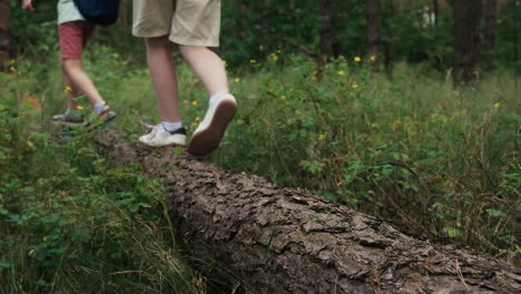 children at the forest